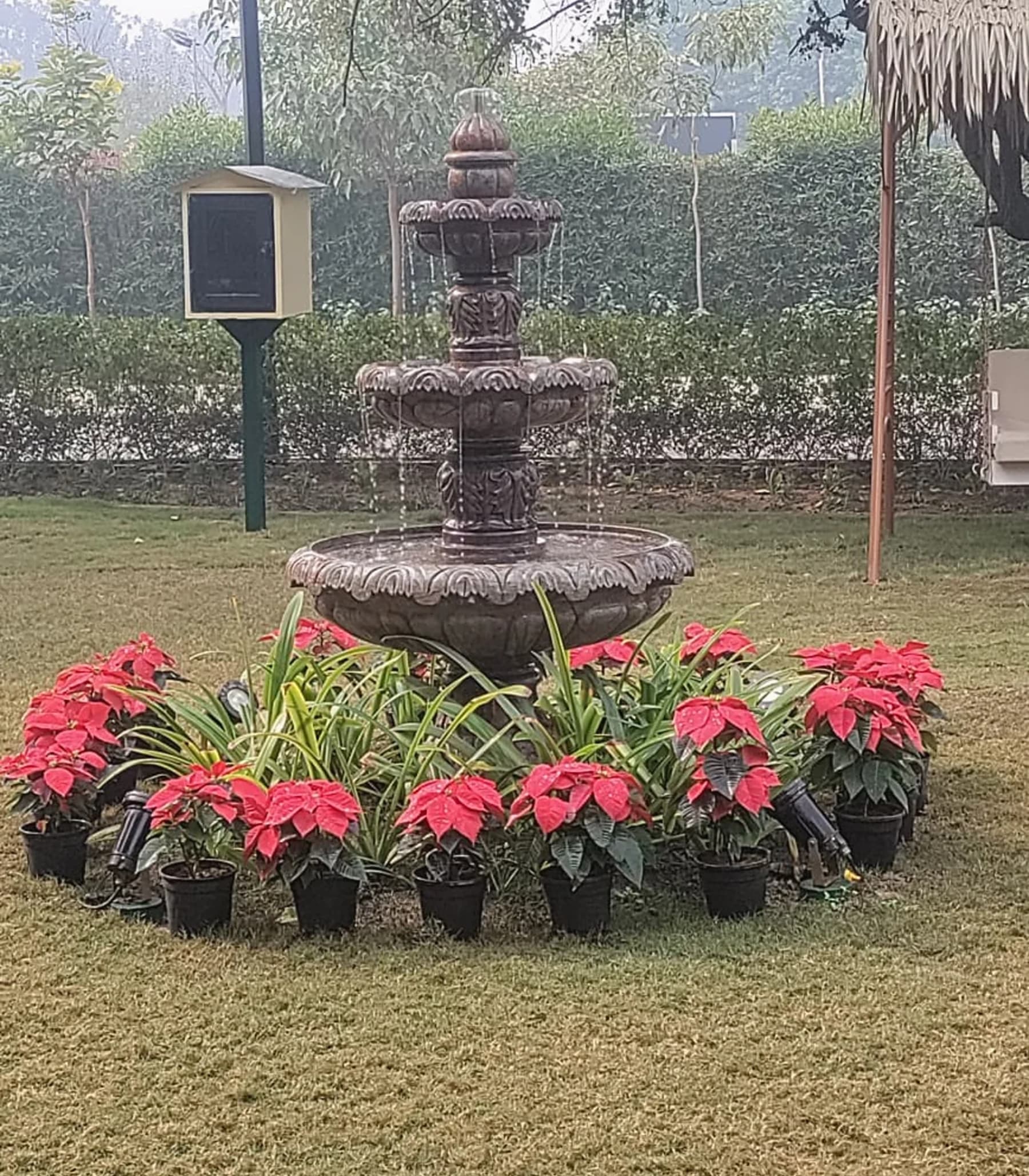 Flower-lined garden fountain