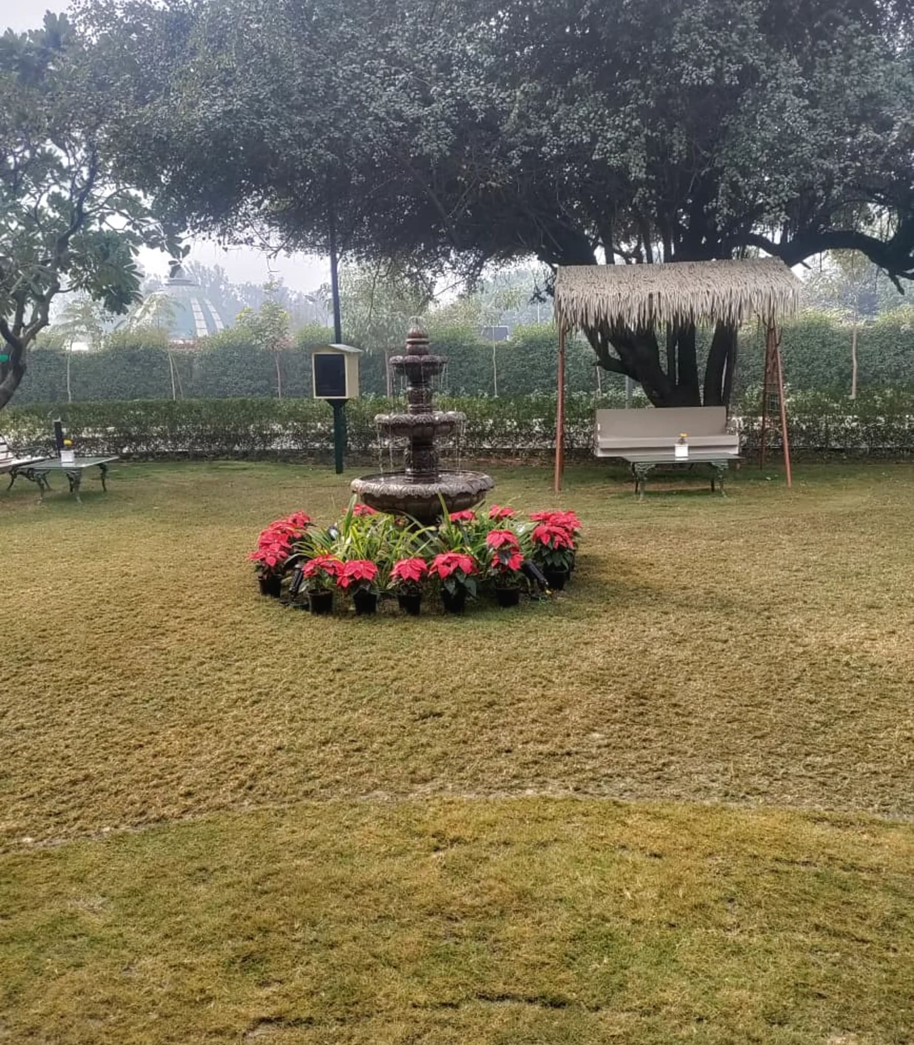 Fountain lawn